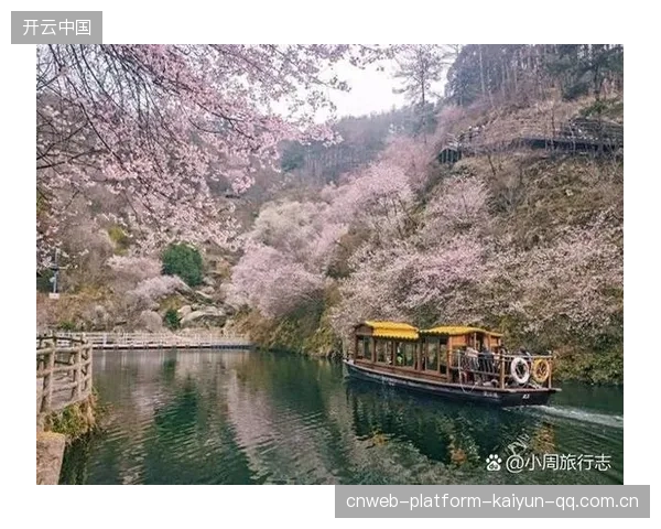 为建高尔夫球场砍樱花树：背后的生态与文化之争